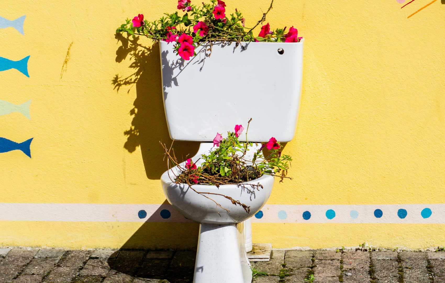 flower potty